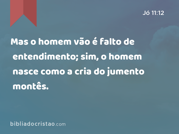 Mas o homem vão é falto de entendimento; sim, o homem nasce como a cria do jumento montês. - Jó 11:12