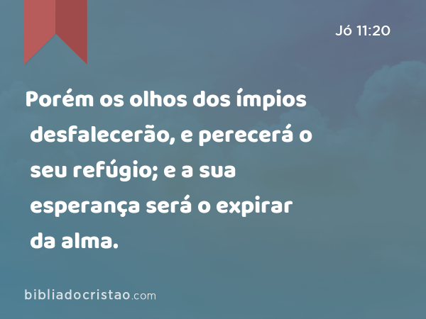 Porém os olhos dos ímpios desfalecerão, e perecerá o seu refúgio; e a sua esperança será o expirar da alma. - Jó 11:20