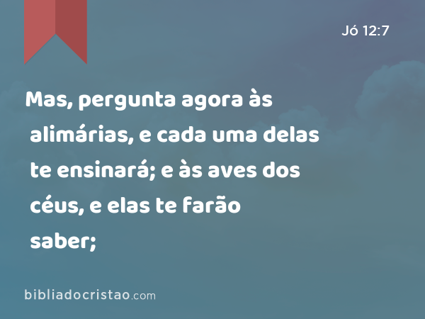 Mas, pergunta agora às alimárias, e cada uma delas te ensinará; e às aves dos céus, e elas te farão saber; - Jó 12:7