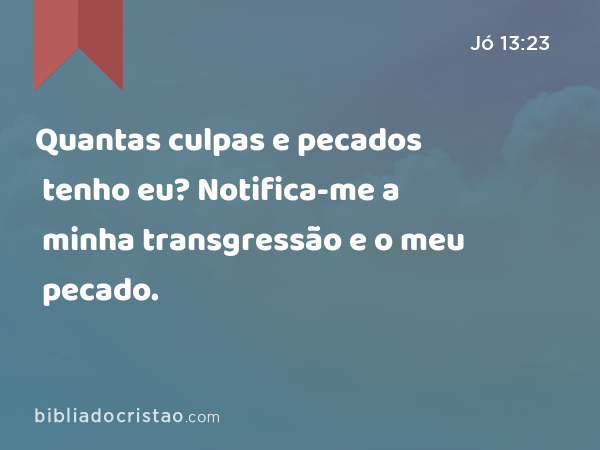 Quantas culpas e pecados tenho eu? Notifica-me a minha transgressão e o meu pecado. - Jó 13:23