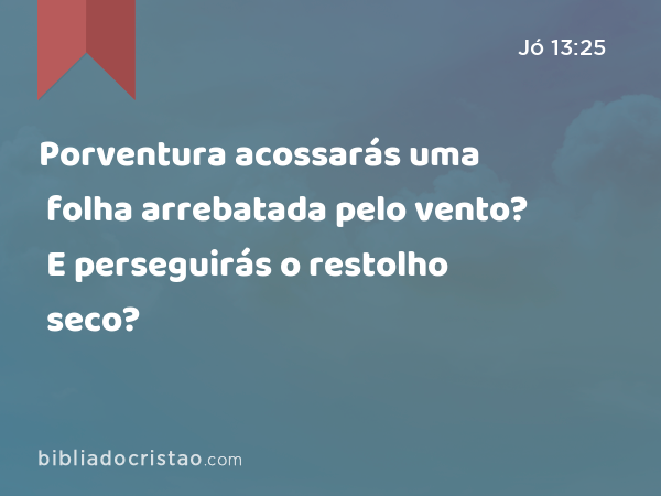 Porventura acossarás uma folha arrebatada pelo vento? E perseguirás o restolho seco? - Jó 13:25