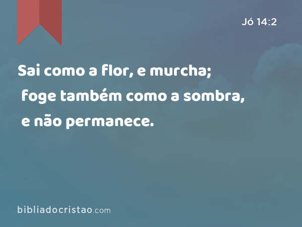 Sai como a flor, e murcha; foge também como a sombra, e não permanece. - Jó 14:2