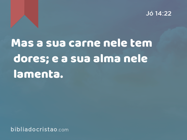 Mas a sua carne nele tem dores; e a sua alma nele lamenta. - Jó 14:22