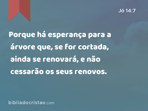 Porque há esperança para a árvore que, se for cortada, ainda se renovará, e não cessarão os seus renovos. - Jó 14:7