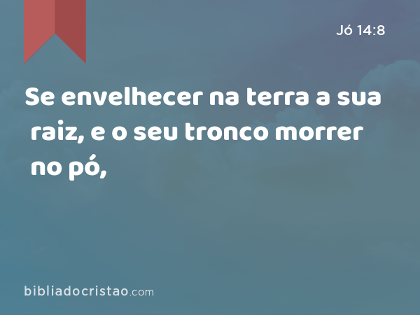 Se envelhecer na terra a sua raiz, e o seu tronco morrer no pó, - Jó 14:8