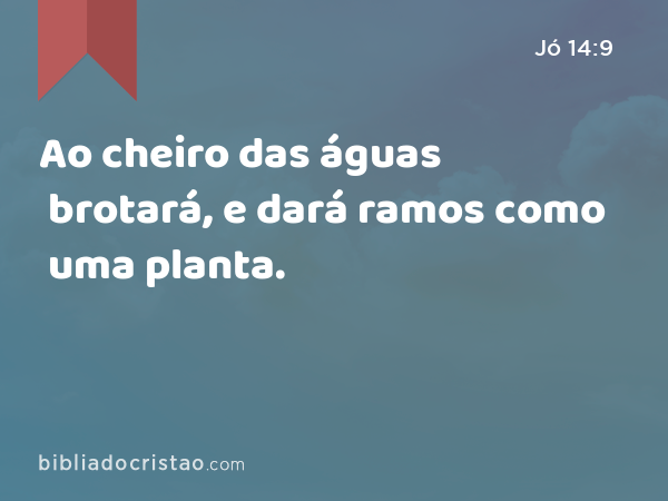 Ao cheiro das águas brotará, e dará ramos como uma planta. - Jó 14:9