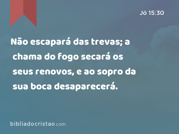 Não escapará das trevas; a chama do fogo secará os seus renovos, e ao sopro da sua boca desaparecerá. - Jó 15:30