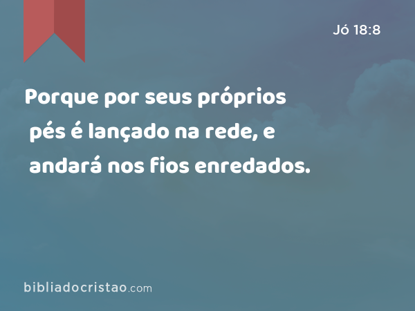 Porque por seus próprios pés é lançado na rede, e andará nos fios enredados. - Jó 18:8