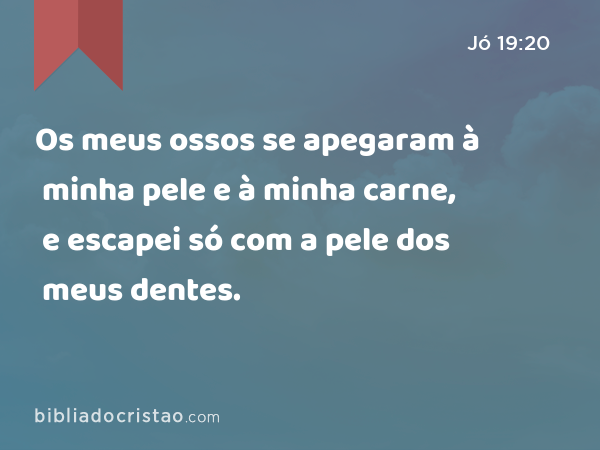 Os meus ossos se apegaram à minha pele e à minha carne, e escapei só com a pele dos meus dentes. - Jó 19:20