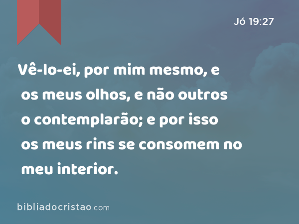 Vê-lo-ei, por mim mesmo, e os meus olhos, e não outros o contemplarão; e por isso os meus rins se consomem no meu interior. - Jó 19:27