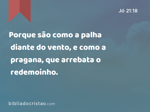 Porque são como a palha diante do vento, e como a pragana, que arrebata o redemoinho. - Jó 21:18