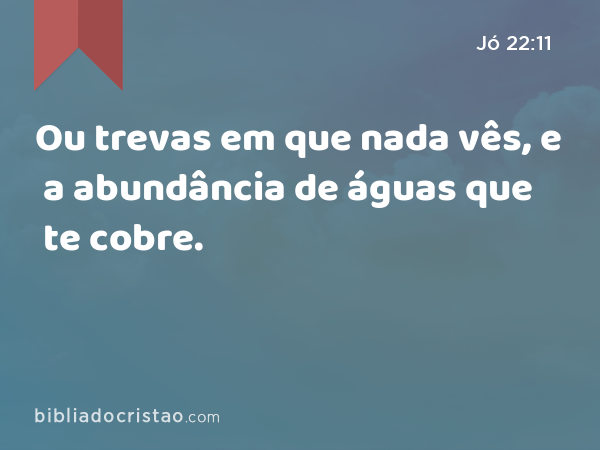 Ou trevas em que nada vês, e a abundância de águas que te cobre. - Jó 22:11