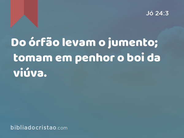 Do órfão levam o jumento; tomam em penhor o boi da viúva. - Jó 24:3