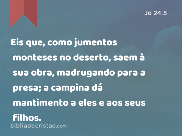 Eis que, como jumentos monteses no deserto, saem à sua obra, madrugando para a presa; a campina dá mantimento a eles e aos seus filhos. - Jó 24:5