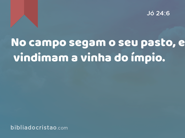 No campo segam o seu pasto, e vindimam a vinha do ímpio. - Jó 24:6