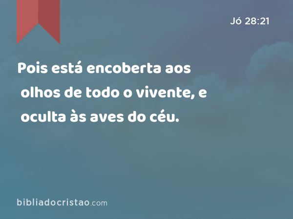 Pois está encoberta aos olhos de todo o vivente, e oculta às aves do céu. - Jó 28:21