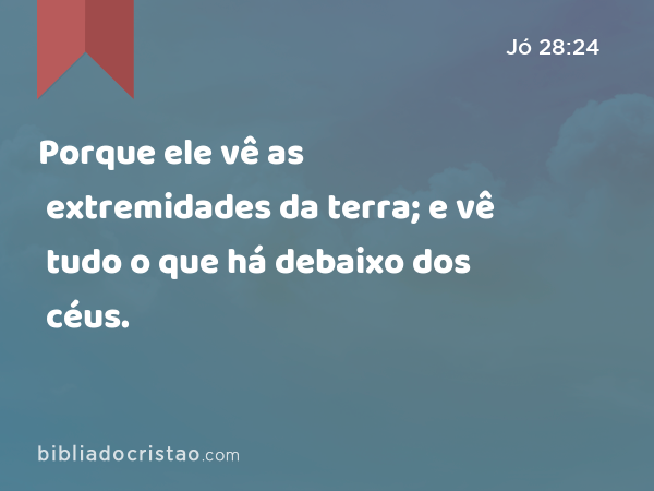 Porque ele vê as extremidades da terra; e vê tudo o que há debaixo dos céus. - Jó 28:24