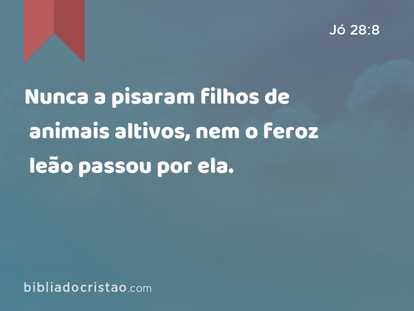 Nunca a pisaram filhos de animais altivos, nem o feroz leão passou por ela. - Jó 28:8