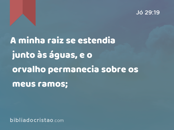 A minha raiz se estendia junto às águas, e o orvalho permanecia sobre os meus ramos; - Jó 29:19