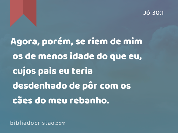 Agora, porém, se riem de mim os de menos idade do que eu, cujos pais eu teria desdenhado de pôr com os cães do meu rebanho. - Jó 30:1