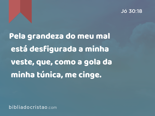 Pela grandeza do meu mal está desfigurada a minha veste, que, como a gola da minha túnica, me cinge. - Jó 30:18