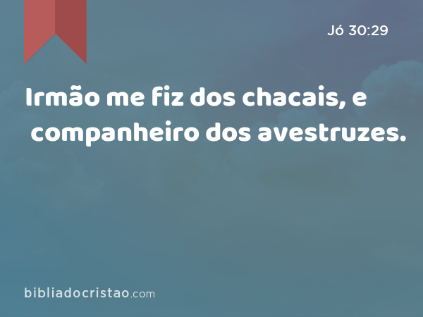 Irmão me fiz dos chacais, e companheiro dos avestruzes. - Jó 30:29