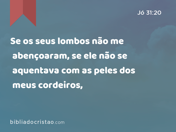 Se os seus lombos não me abençoaram, se ele não se aquentava com as peles dos meus cordeiros, - Jó 31:20