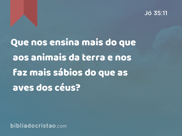 Que nos ensina mais do que aos animais da terra e nos faz mais sábios do que as aves dos céus? - Jó 35:11