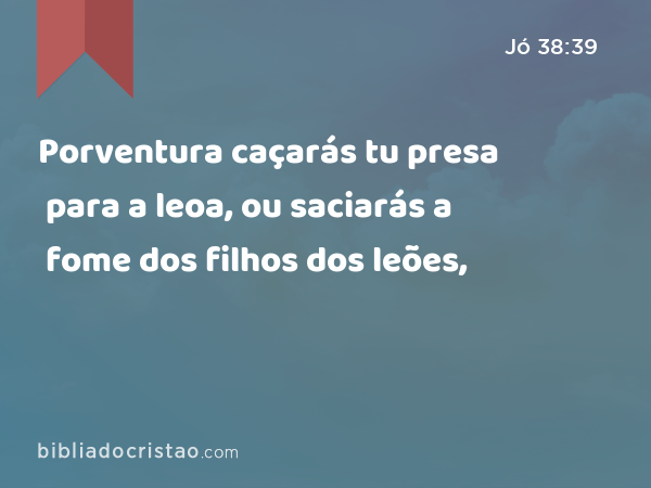 Porventura caçarás tu presa para a leoa, ou saciarás a fome dos filhos dos leões, - Jó 38:39