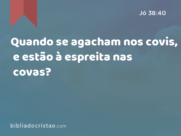 Quando se agacham nos covis, e estão à espreita nas covas? - Jó 38:40