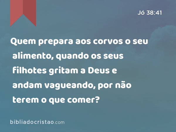 Quem prepara aos corvos o seu alimento, quando os seus filhotes gritam a Deus e andam vagueando, por não terem o que comer? - Jó 38:41