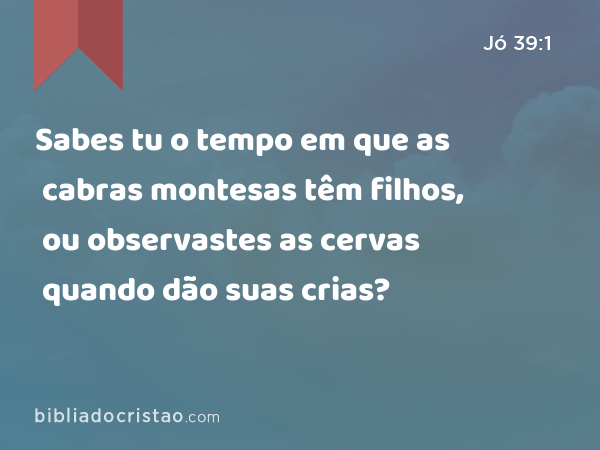 Sabes tu o tempo em que as cabras montesas têm filhos, ou observastes as cervas quando dão suas crias? - Jó 39:1