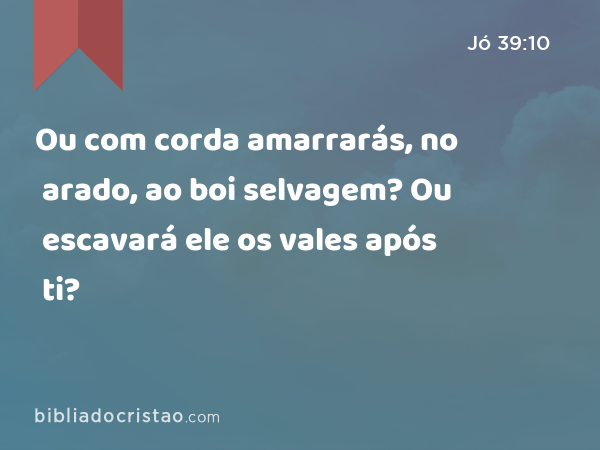 Ou com corda amarrarás, no arado, ao boi selvagem? Ou escavará ele os vales após ti? - Jó 39:10