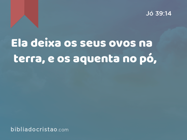 Ela deixa os seus ovos na terra, e os aquenta no pó, - Jó 39:14