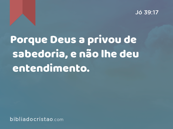 Porque Deus a privou de sabedoria, e não lhe deu entendimento. - Jó 39:17