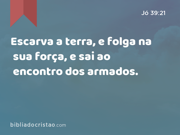 Escarva a terra, e folga na sua força, e sai ao encontro dos armados. - Jó 39:21