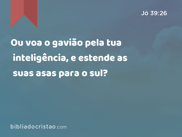 Ou voa o gavião pela tua inteligência, e estende as suas asas para o sul? - Jó 39:26