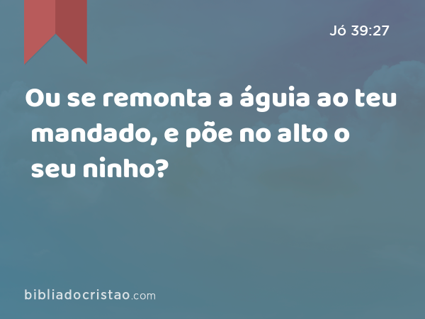 Ou se remonta a águia ao teu mandado, e põe no alto o seu ninho? - Jó 39:27