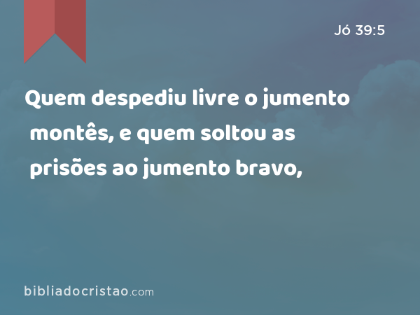 Quem despediu livre o jumento montês, e quem soltou as prisões ao jumento bravo, - Jó 39:5