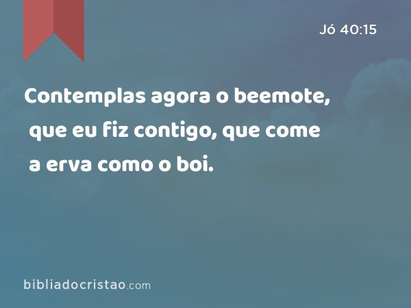 Contemplas agora o beemote, que eu fiz contigo, que come a erva como o boi. - Jó 40:15