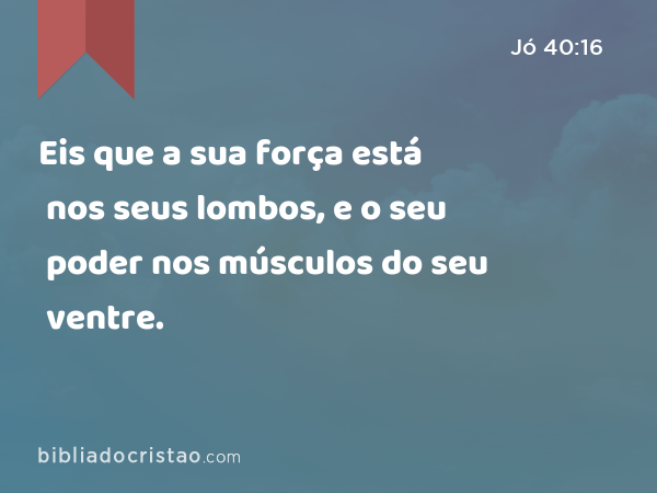 Eis que a sua força está nos seus lombos, e o seu poder nos músculos do seu ventre. - Jó 40:16