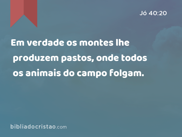 Em verdade os montes lhe produzem pastos, onde todos os animais do campo folgam. - Jó 40:20