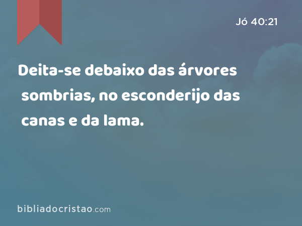 Deita-se debaixo das árvores sombrias, no esconderijo das canas e da lama. - Jó 40:21