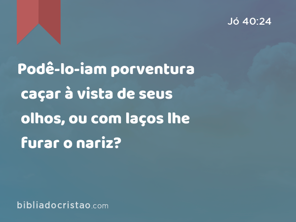 Podê-lo-iam porventura caçar à vista de seus olhos, ou com laços lhe furar o nariz? - Jó 40:24