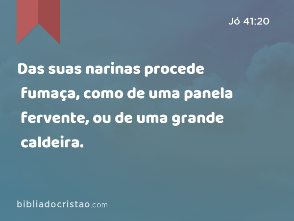 Das suas narinas procede fumaça, como de uma panela fervente, ou de uma grande caldeira. - Jó 41:20