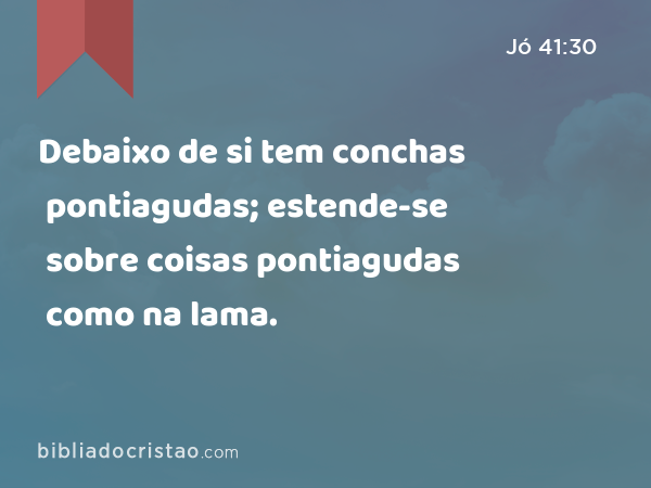 Debaixo de si tem conchas pontiagudas; estende-se sobre coisas pontiagudas como na lama. - Jó 41:30