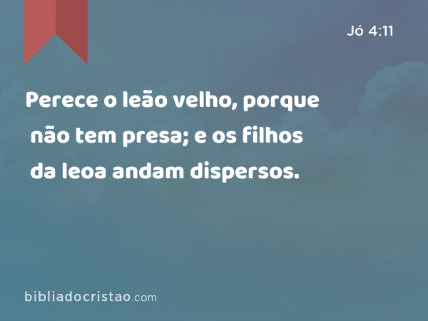 Perece o leão velho, porque não tem presa; e os filhos da leoa andam dispersos. - Jó 4:11