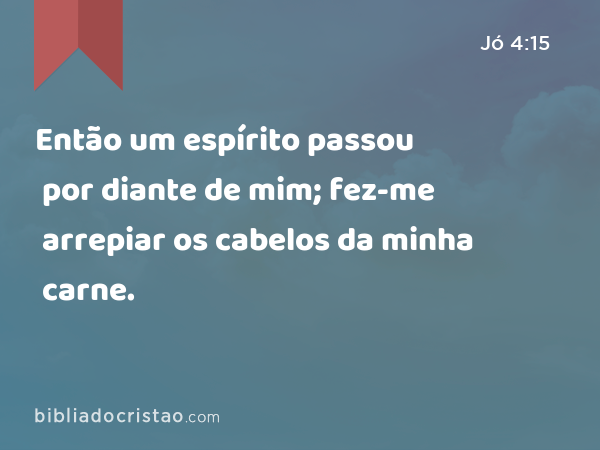 Então um espírito passou por diante de mim; fez-me arrepiar os cabelos da minha carne. - Jó 4:15