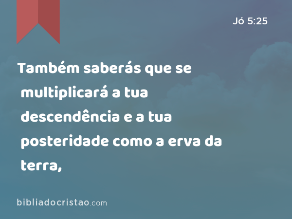 Também saberás que se multiplicará a tua descendência e a tua posteridade como a erva da terra, - Jó 5:25