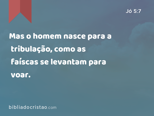 Mas o homem nasce para a tribulação, como as faíscas se levantam para voar. - Jó 5:7